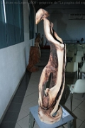 Sculture_Cavino_ 2009 (191)